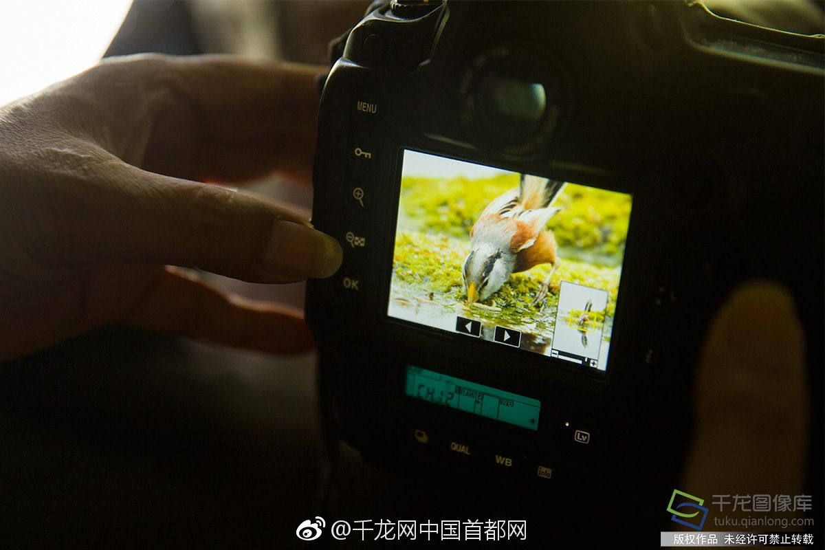 ‘文博有’意思丨“西周路由器”終于連上網(wǎng)了，密碼是……