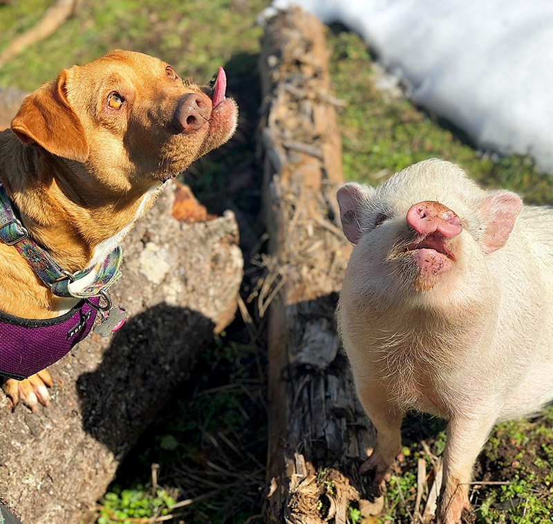 甘肅榆中山洪災(zāi)害受災(zāi)“群眾陸”續(xù)遷入新居